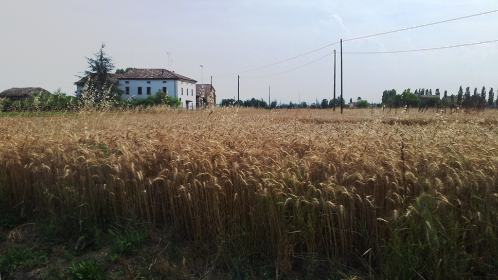 Immagine attività