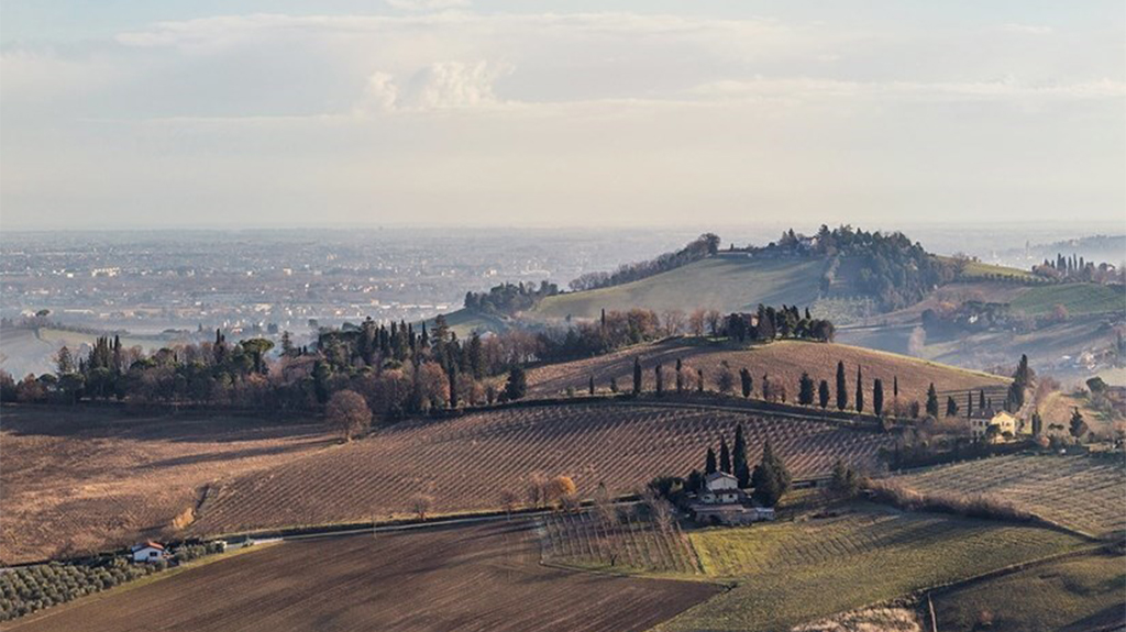 Immagine attività