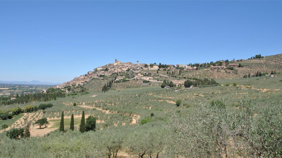 Immagine attività