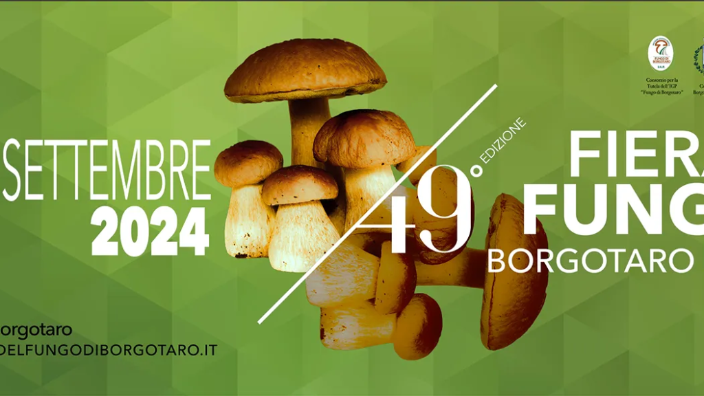 Immagine attività