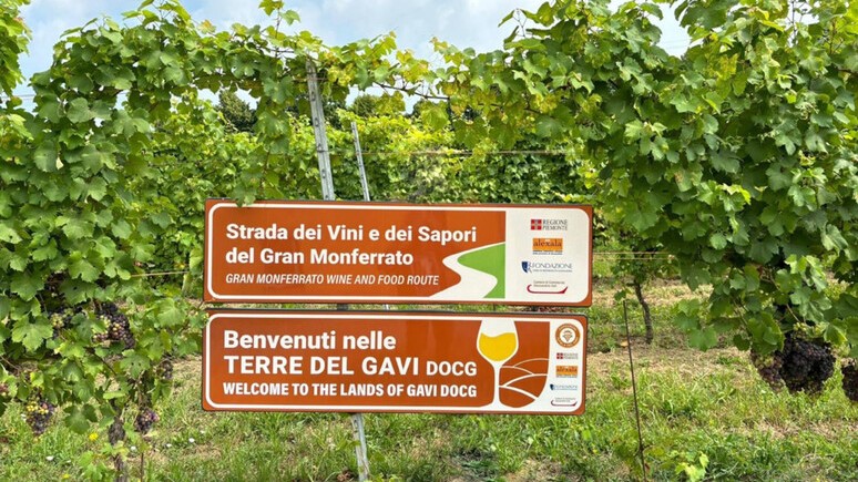 Immagine attività