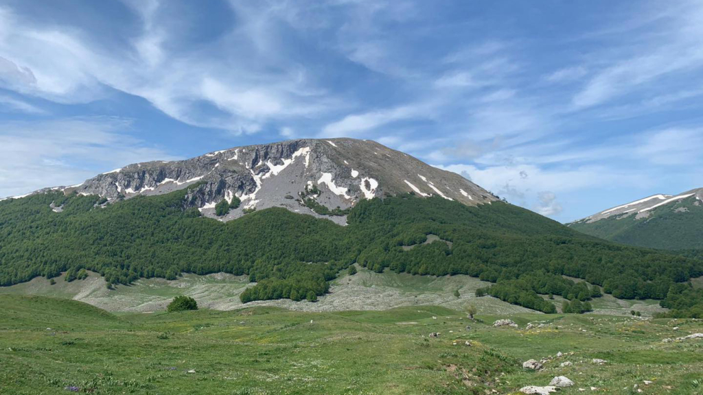 Immagine attività