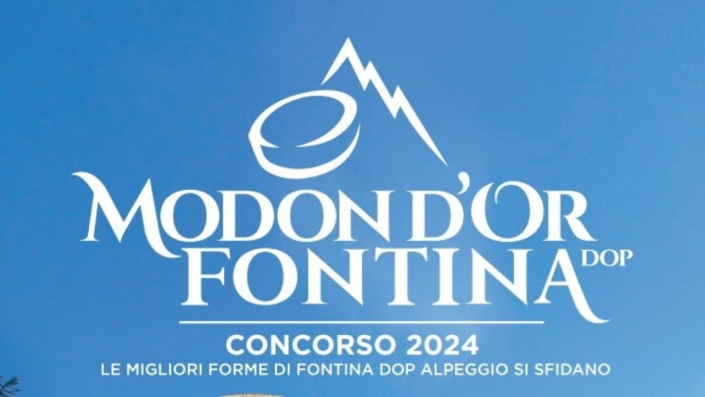 Immagine attività