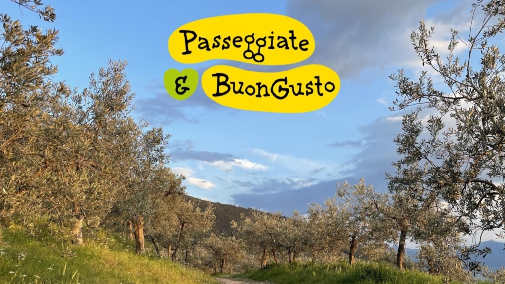Immagine attività