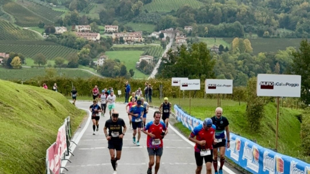 Immagine attività