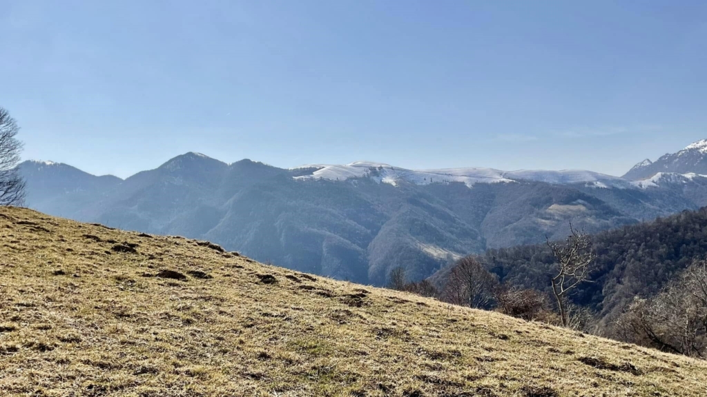 Immagine attività