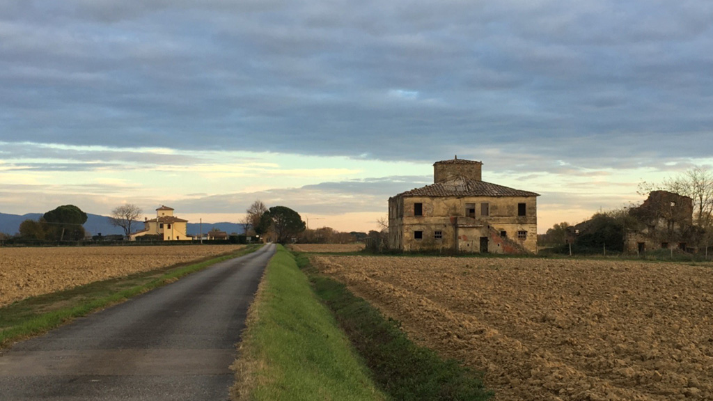 Immagine attività