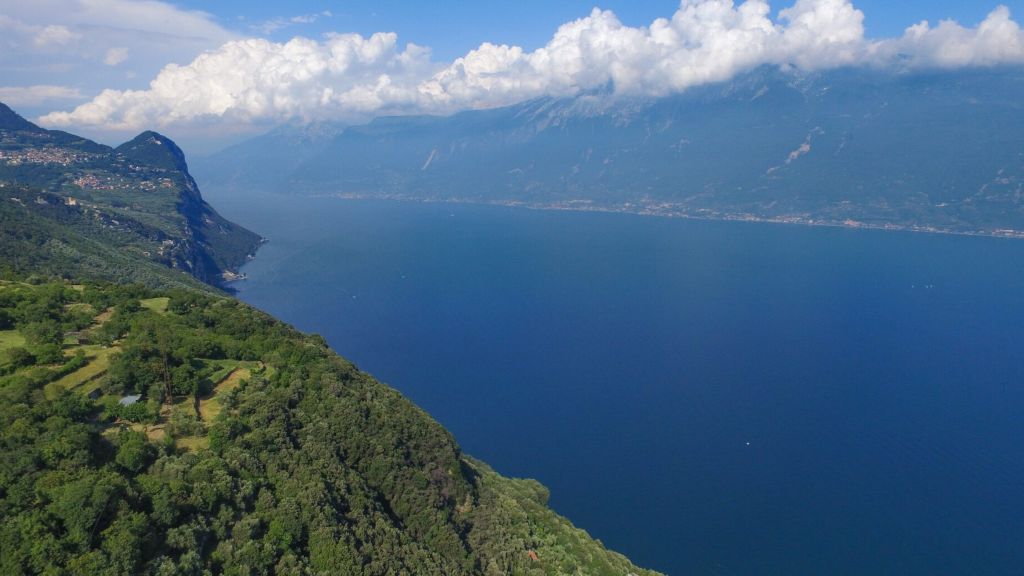 Immagine attività