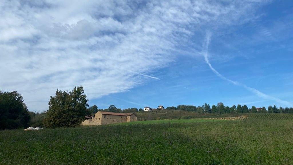 Immagine attività