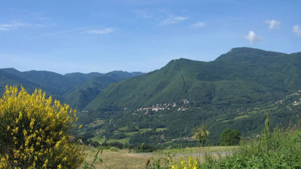 Immagine attività