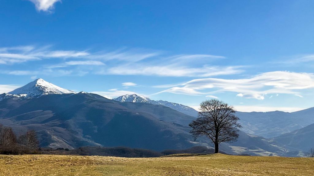 Immagine attività
