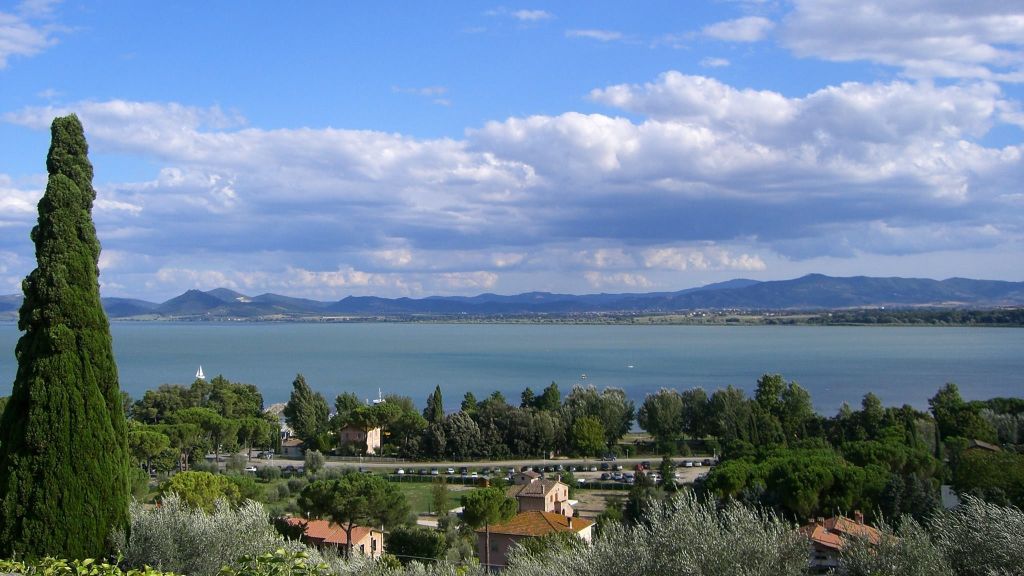 Immagine attività