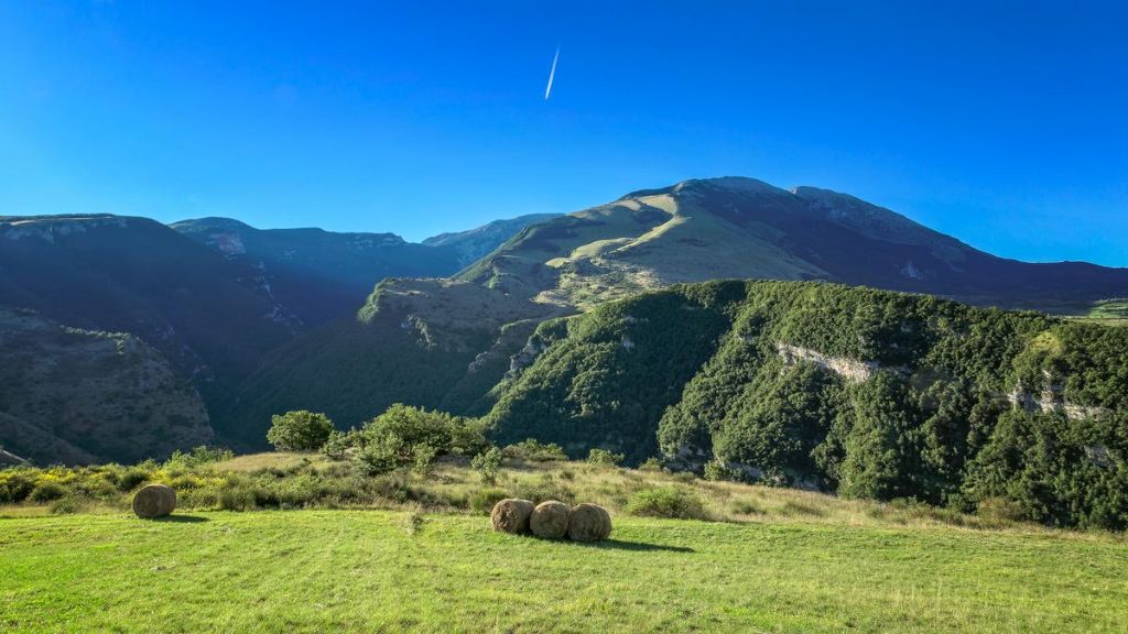 Immagine attività