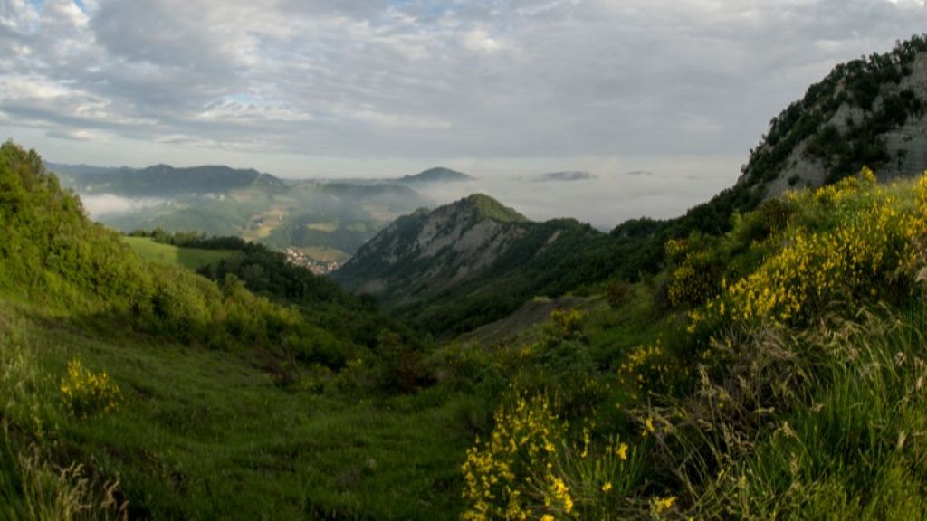 Immagine attività
