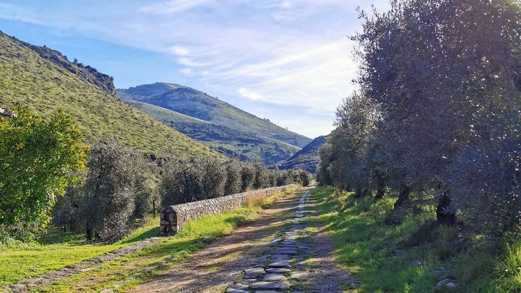 Immagine attività
