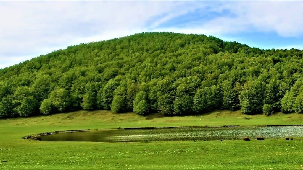 Immagine attività