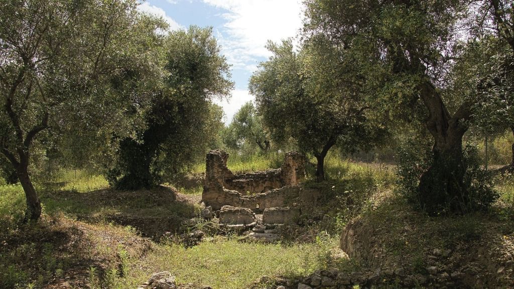 Immagine attività