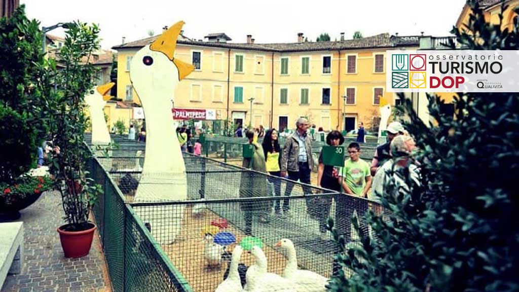 Immagine attività