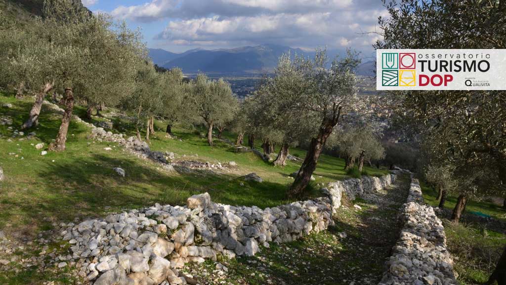 Immagine attività