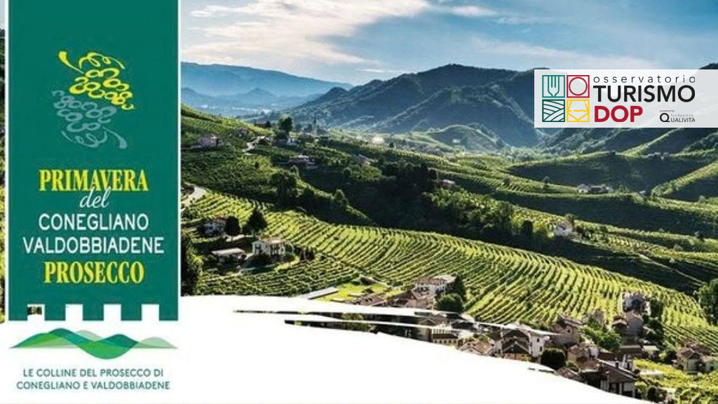 Immagine attività